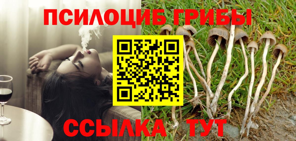 Галлюциногенные грибы MAGIC MUSHROOMS Чебоксары