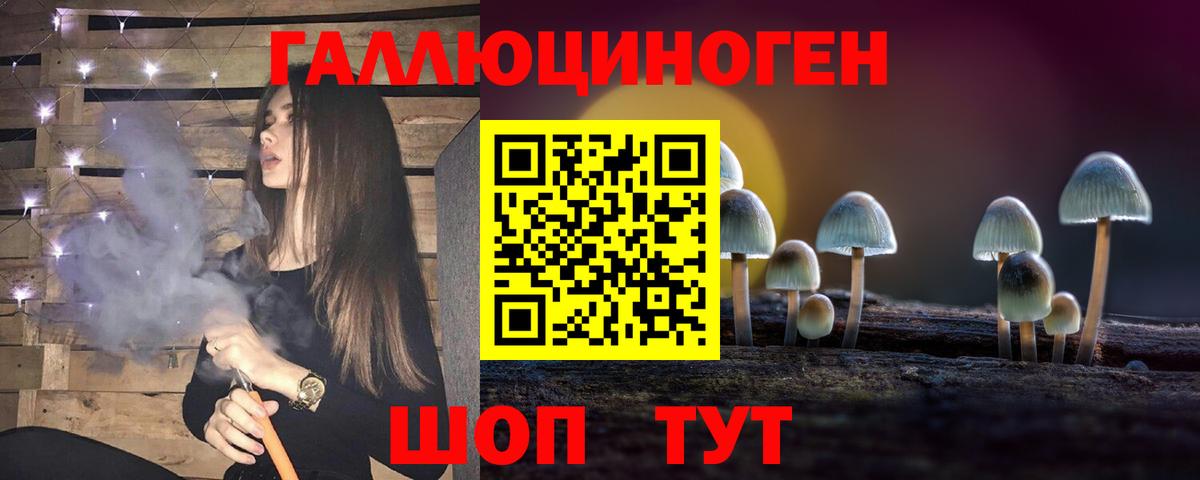 где найти наркотики  Псилоцибиновые грибы Psilocybe  Вход с VPN  Чебоксары 